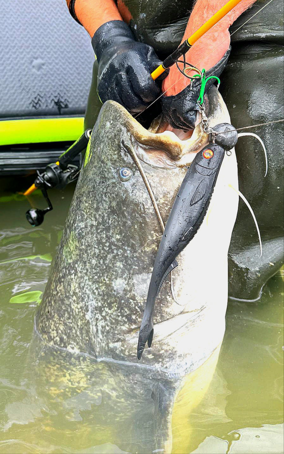 Black Devil Erpo Baits (27cm)