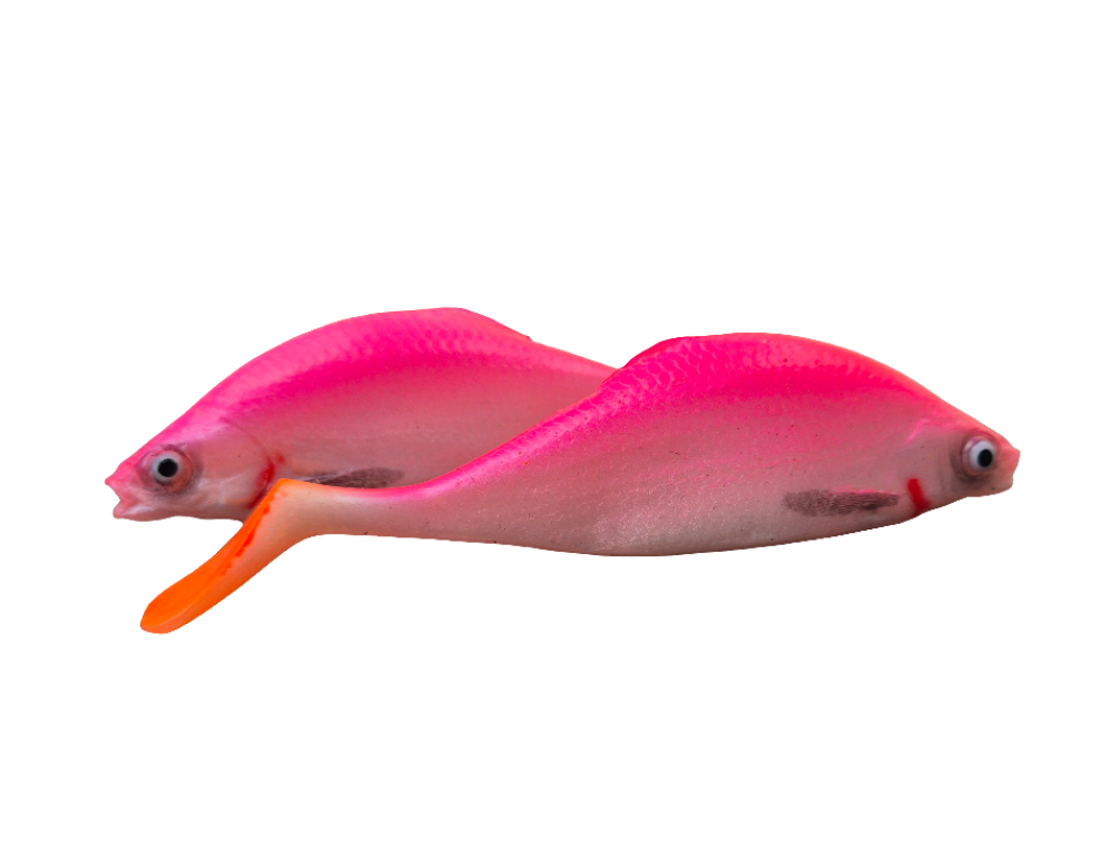 Pink Roach 2pcs (10cm)