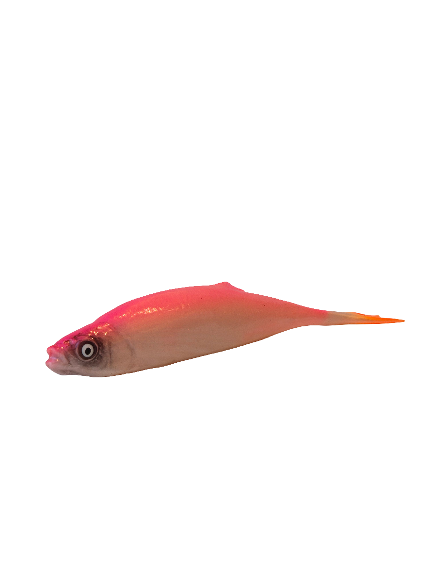 Realistico Roach Rosa