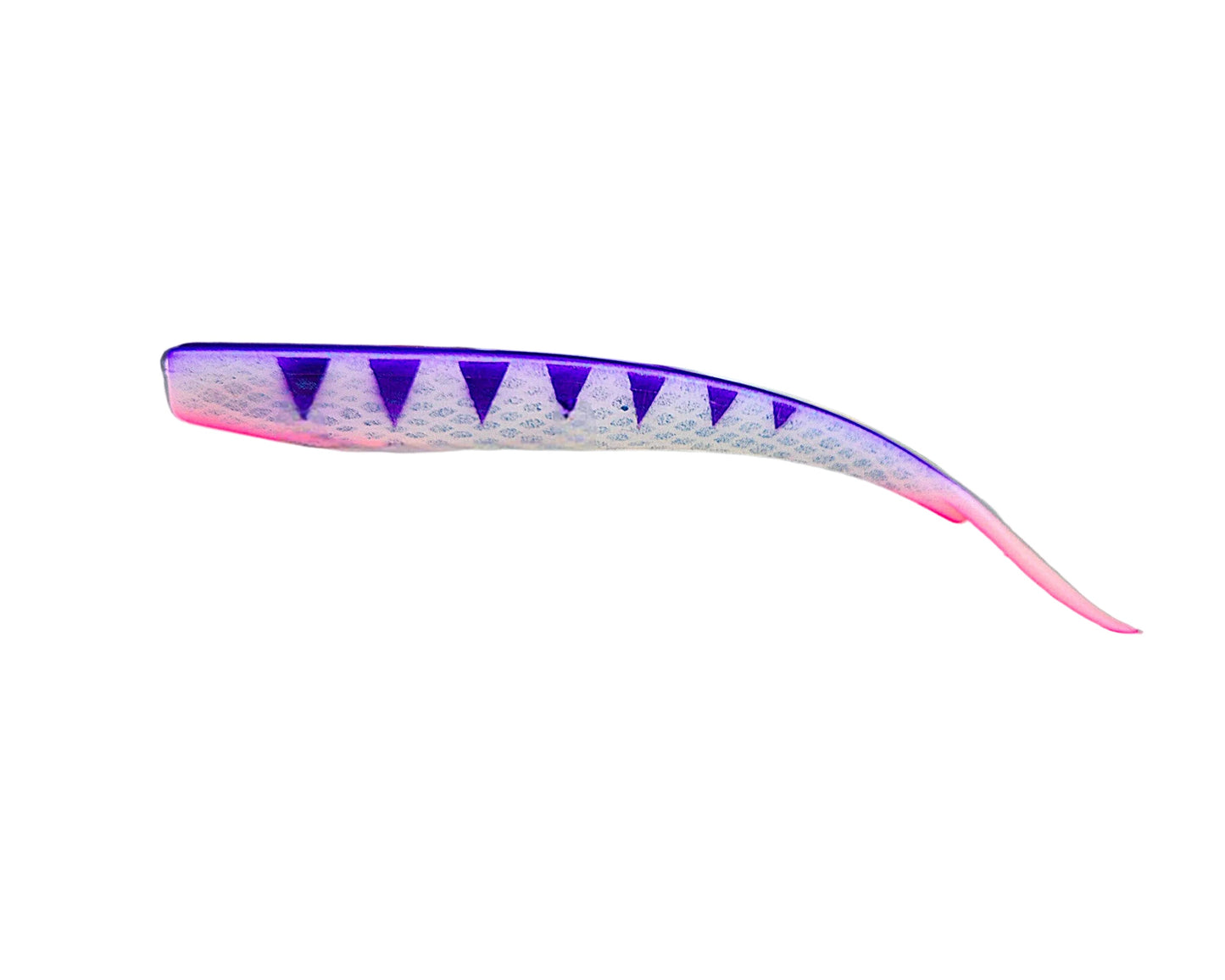 Tigre luminosa