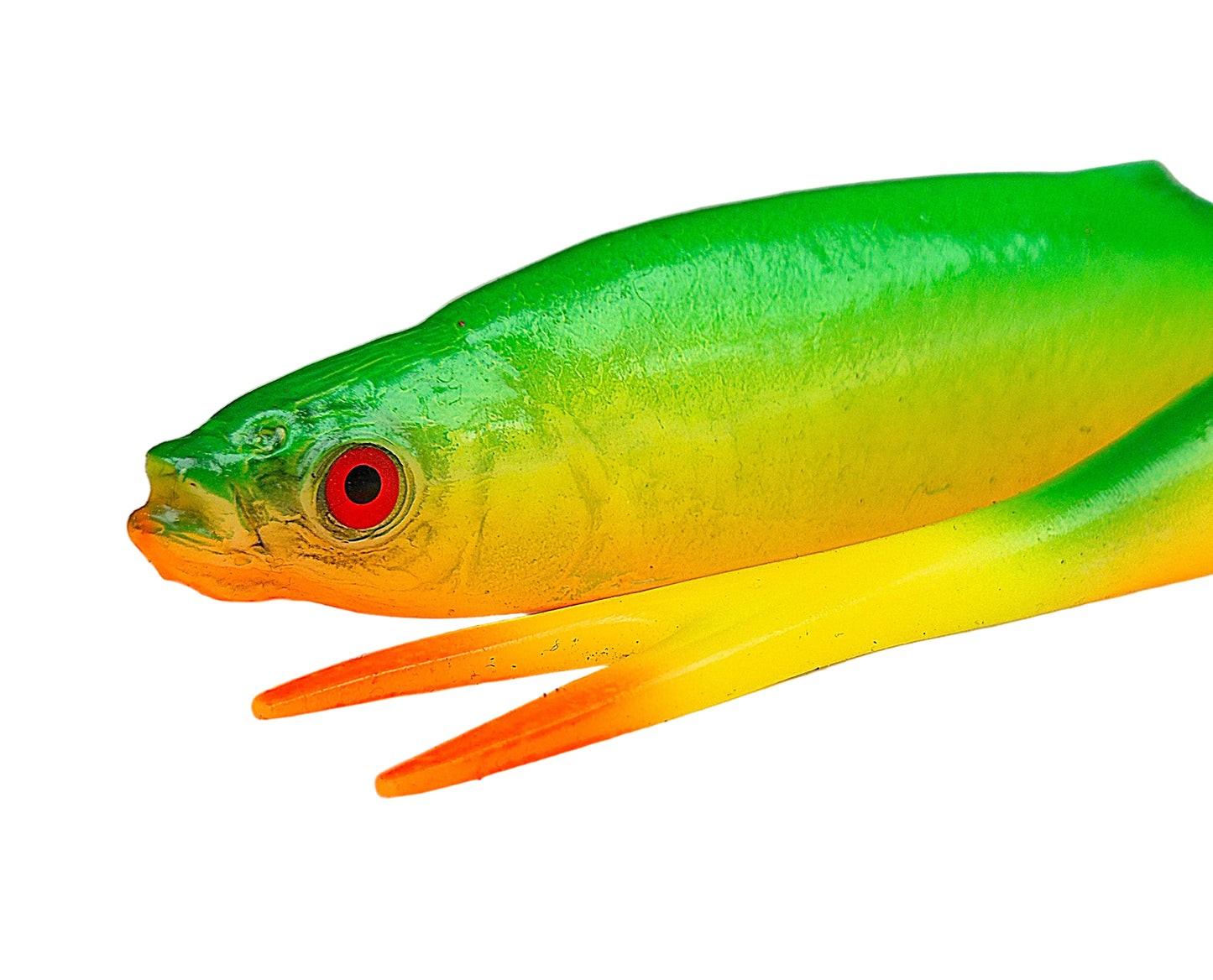 Realistic Roach Fire Tiger (21cm)
